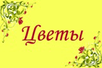 Цветы