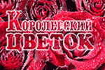 Королевский цветок